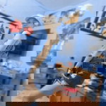 Irene Caaya profile icon