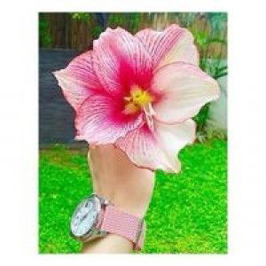 Achik Liyana profile icon