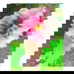 Achik Liyana profile icon