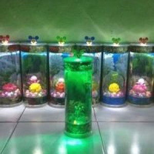 Mia Aquarium Mika Hias profile icon