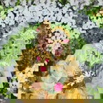 Dina Dieynana profile icon