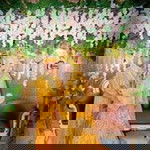 Wildha Anton profile icon