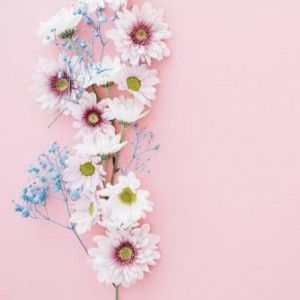 shella lusiana profile icon