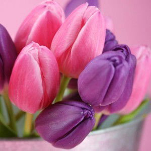 Amei Villegas profile icon