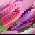 Amei Villegas profile icon