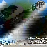 Liza Maulanabayu profile icon