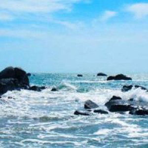 Loan Quỳnh Dung profile icon