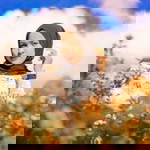 AdheAnjani profile icon