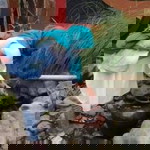 Linggar Sari profile icon