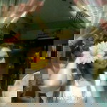 Roxanne G Ferrer profile icon