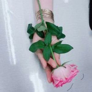 Thanh Nhàng profile icon