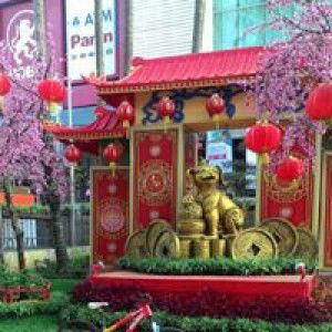 Violatralala profile icon