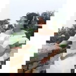 Phan Ngân profile icon