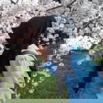 Islami Rahmi profile icon