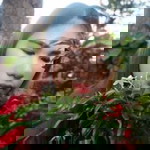 เฉิ้ม'มม เยิ้ม'มม profile icon