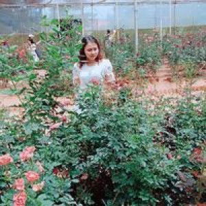 Kim Ngan profile icon