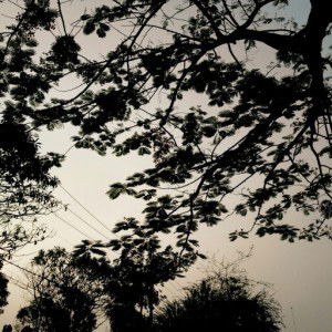 Anonimus profile icon