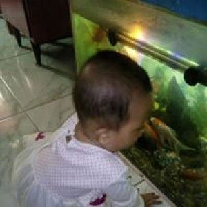 Arinda Setia Wati profile icon