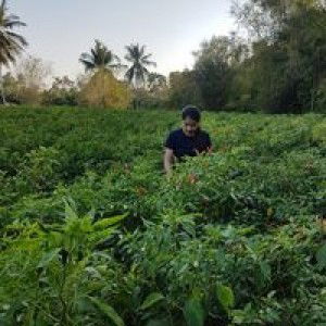 Nion Sengaloun profile icon