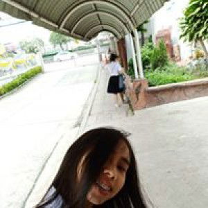 Bi Fern profile icon