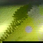 หยกไทย สายฟ้า profile icon