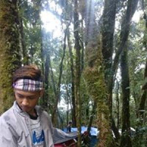 Ahmad Maulidi profile icon