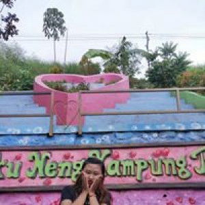 Elvira Diana Sari profile icon