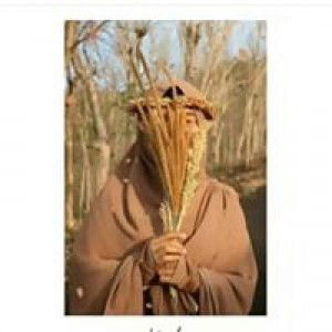 Nadia Azlal Muna profile icon