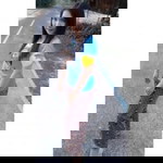 Dongmanee Wannawet profile icon