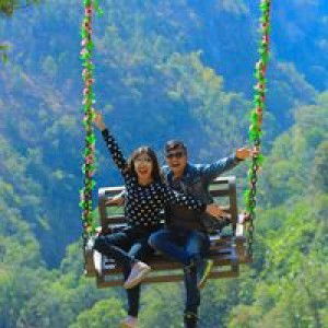 Dewi Anggraini profile icon