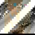 เกรท' จ๋าา profile icon