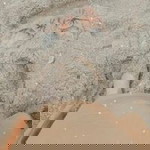 Sintya Ajeng P profile icon