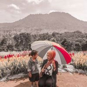 Vera Nadia profile icon