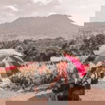 Vera Nadia profile icon