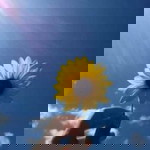 Occa Linda profile icon