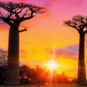 A J Castillo profile icon