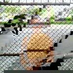 natthawadi rawang profile icon