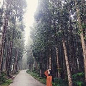 Anisa Uni profile icon