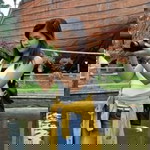 Kathleen Elizabeth May Adolfo Dolor profile icon