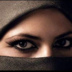 Toetik Hasyim profile icon