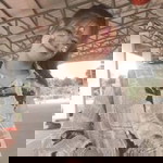 น้ําหวาน เมโลดี้ profile icon