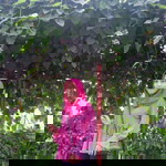 anisnovita sari profile icon