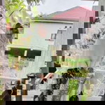 Unisetia profile icon