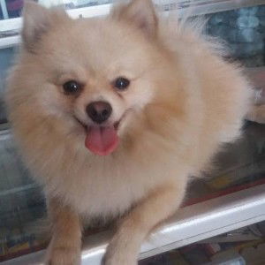 Meica Mei profile icon