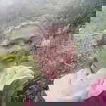 Flor Mori profile icon