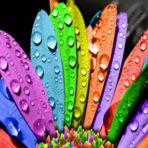 Dewi Pisita profile icon