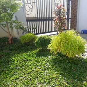 Mami Muh profile icon