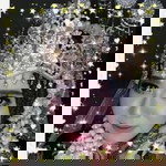 Musa Cyank Dia profile icon