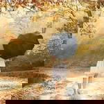 lee chung profile icon