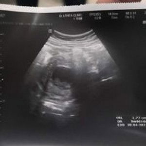 มะมี๊ น้องเค้าแมว profile icon